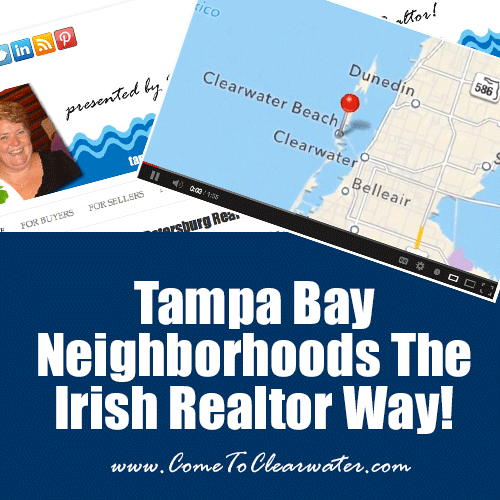Tampa Bay Neighborhoods The Irish Realtor Way