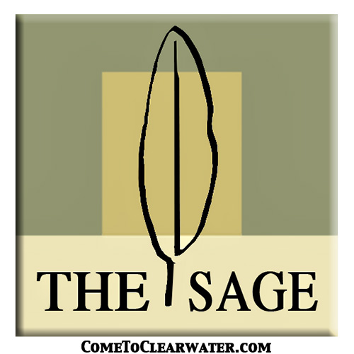 The Sage Condos St. Pete Florida