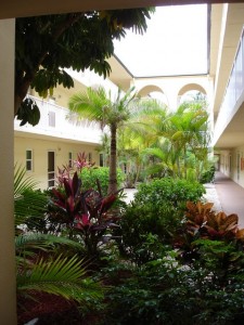 Tropically landscaped courtyard