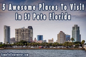 5 Awesome Places To Visit In St Pete Florida